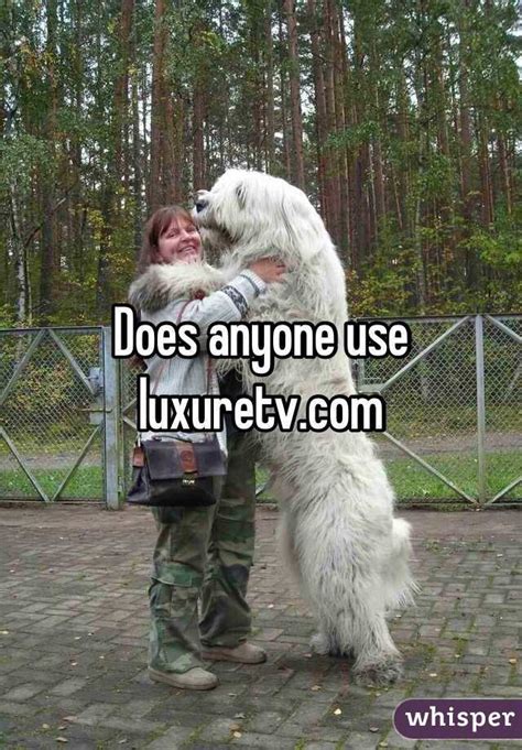 LuxureTV is the biggest porn tube of bestiality and animal sex on the web. . Luxure tv dog